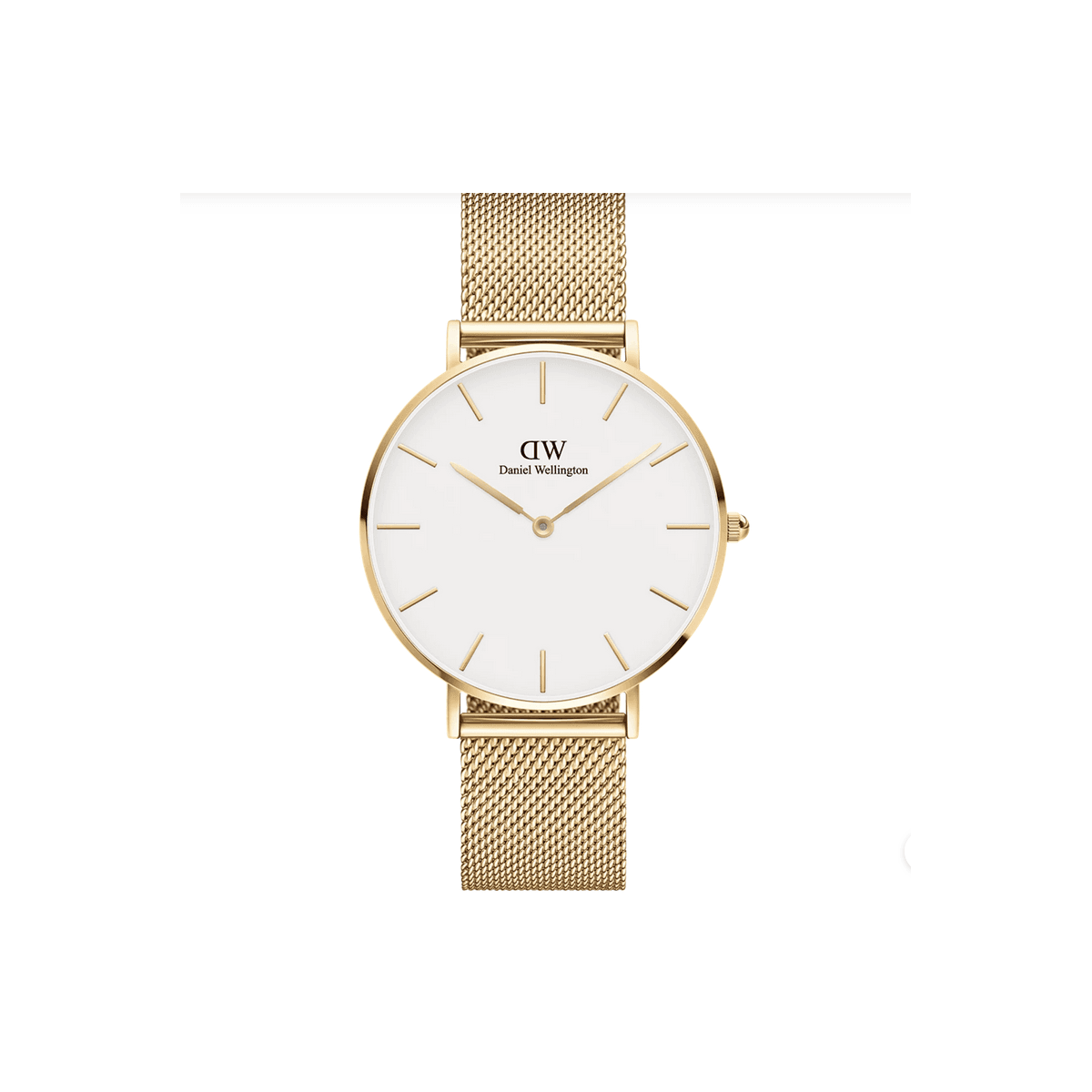 DW   PETITE EVERGOLD 28MM - DW00100350