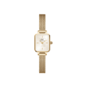 DW   QUADRO MINI EVERGOLD CHAMPAGNE - DW00100656