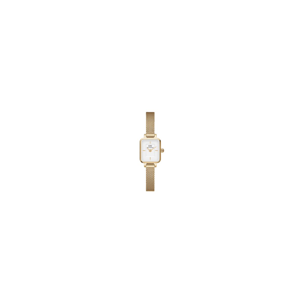 DW   QUADRO MINI EVERGOLD - DW00100725