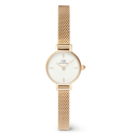 DW   PETIT MINI EVERGOLD - DW00100745