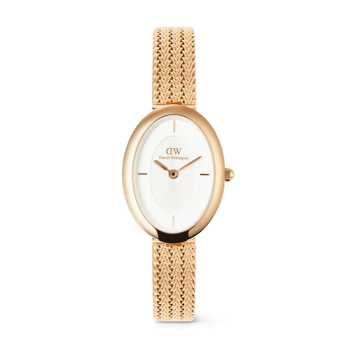 DW JULIETTE BRAIDED GOLD ROSE - DW00100883