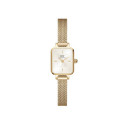 DW   QUADRO MINI EVERGOLD CHAMPAGNE - DW00100656