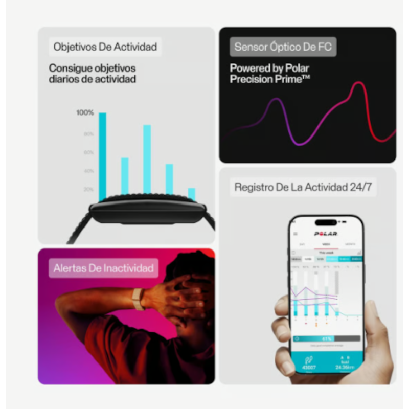 POLAR Loop - 920115931