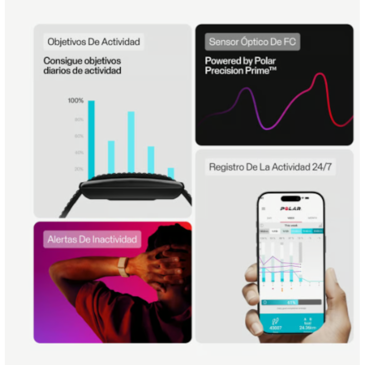 POLAR Loop - 920115931