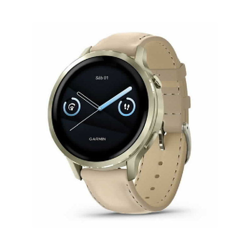 Venu 4  41 mm - 010-03013-03